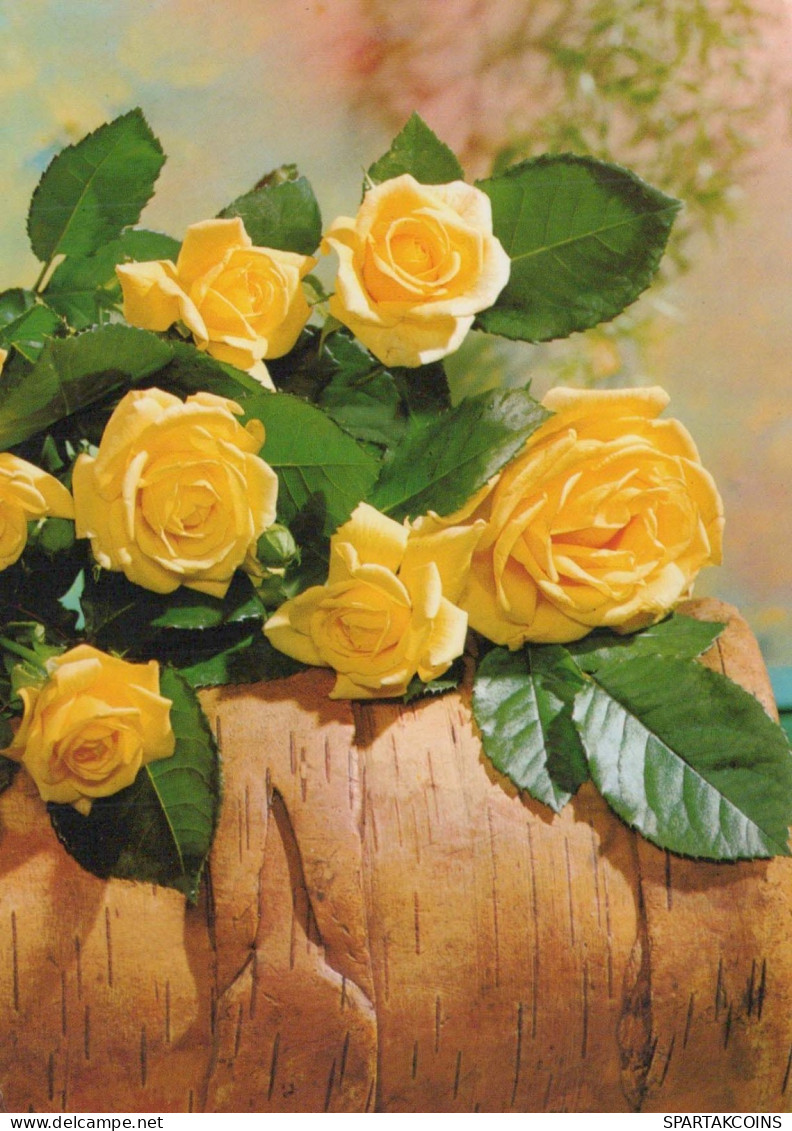 FLOWERS Vintage Ansichtskarte Postkarte CPSM #PBZ644.DE - Flowers