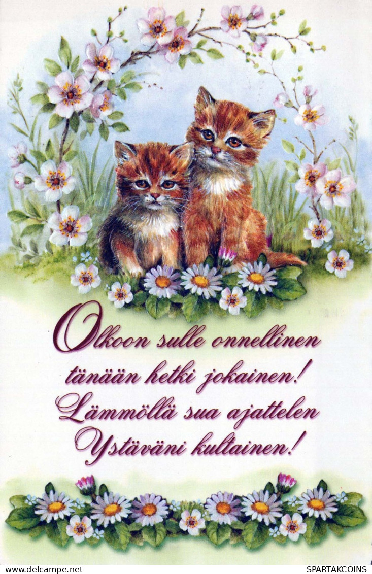 KATZE MIEZEKATZE Tier Vintage Ansichtskarte Postkarte CPSM #PBQ985.DE - Katzen
