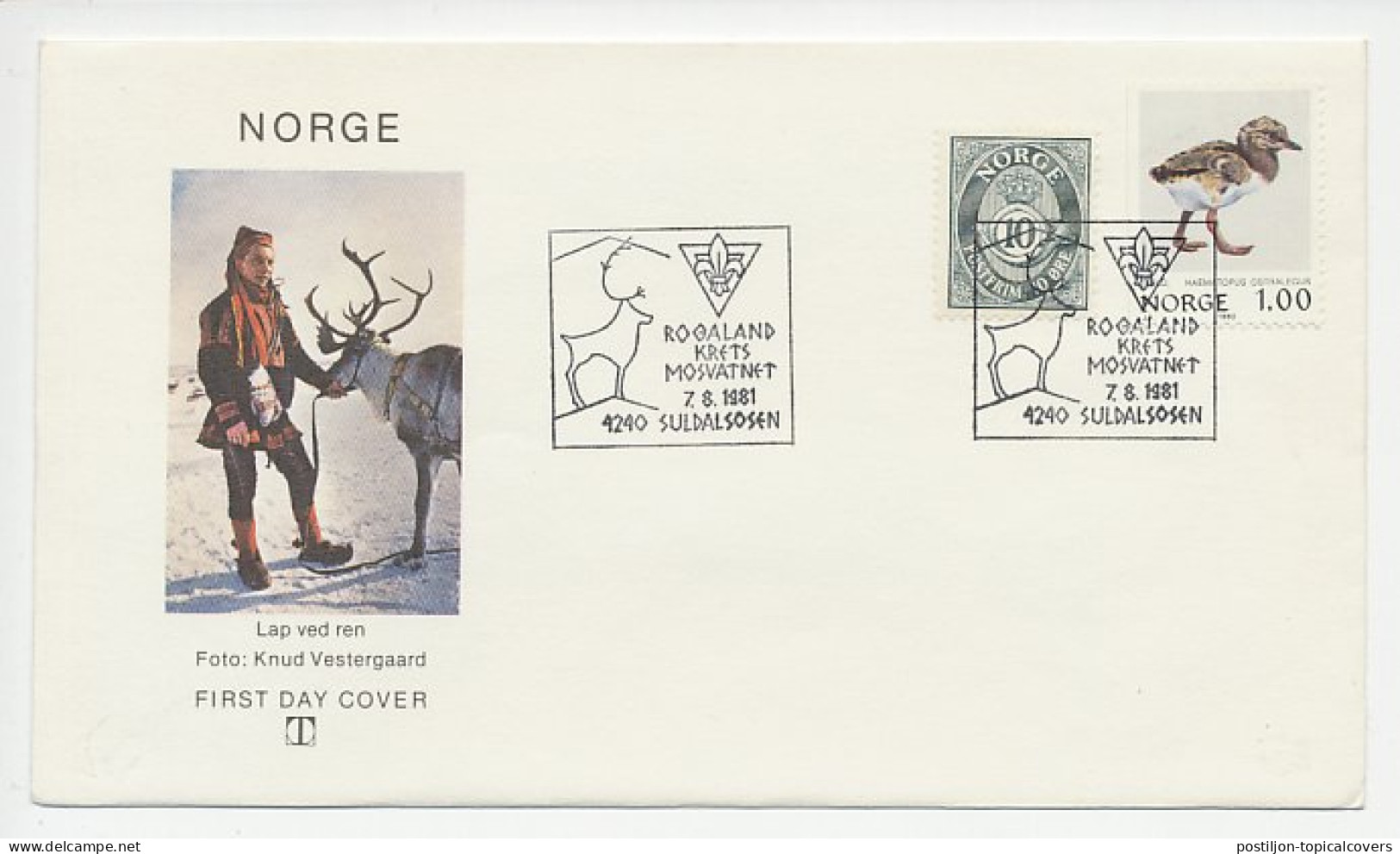 Cover / Postmark Norway 1981 Scouting - Reindeer - Sonstige & Ohne Zuordnung