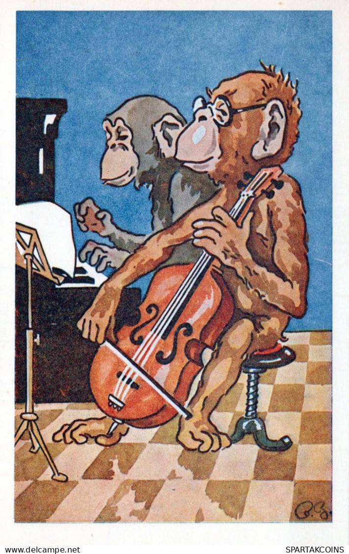 SCIMMIA Animale Vintage Cartolina CPA #PKE766.IT - Monkeys