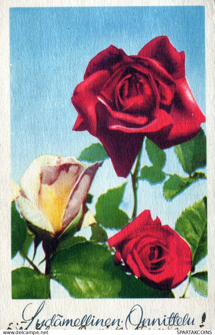 FIORI Vintage Cartolina CPA #PKE640.IT - Fleurs