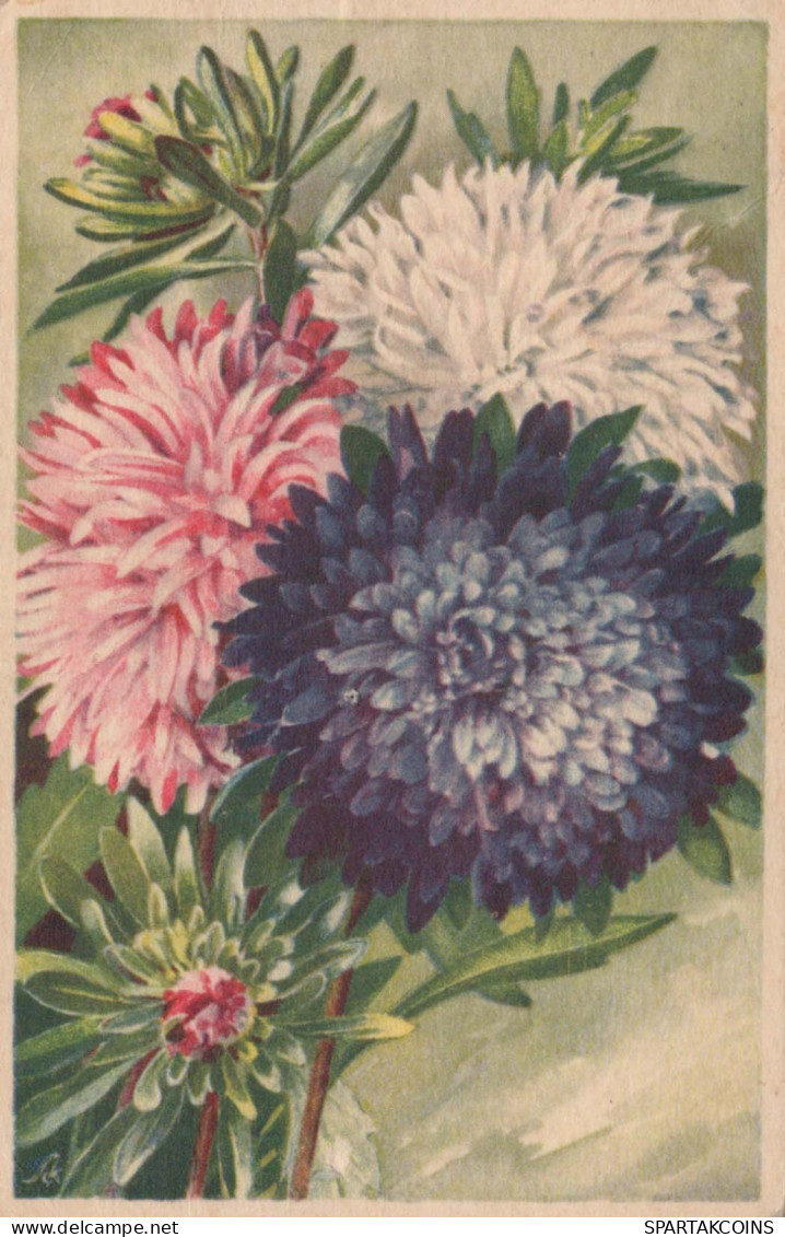FIORI Vintage Cartolina CPA #PKE701.IT - Fleurs