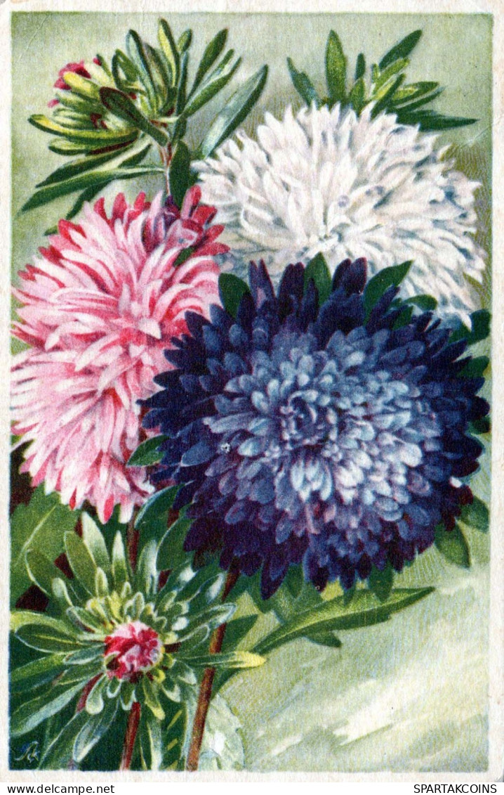 FIORI Vintage Cartolina CPA #PKE701.IT - Fleurs