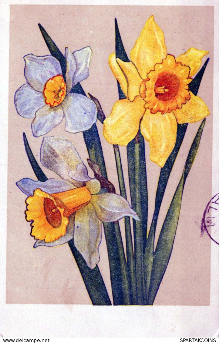 FIORI Vintage Cartolina CPA #PKE264.IT - Flowers