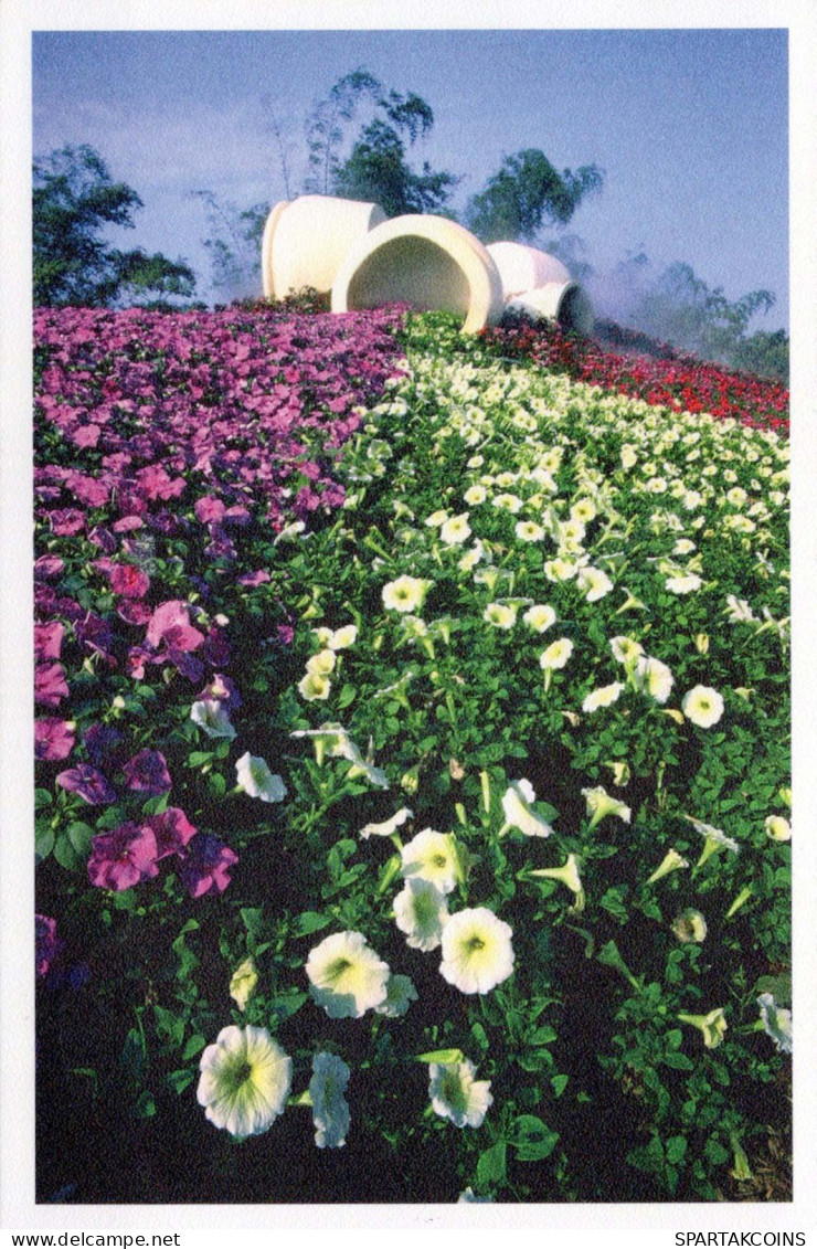 FIORI Vintage Cartolina CPSM #PBZ044.IT - Flowers