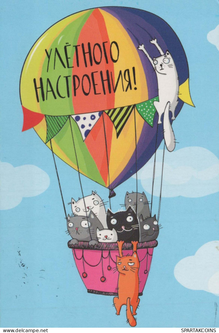 GATTO KITTY Animale Vintage Cartolina CPSM #PBQ738.IT - Cats