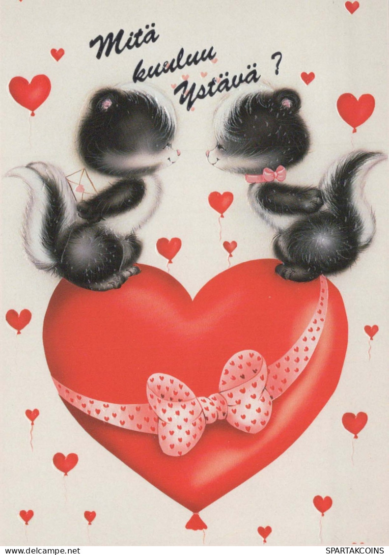 GATTO KITTY Animale Vintage Cartolina CPSM #PBQ986.IT - Cats