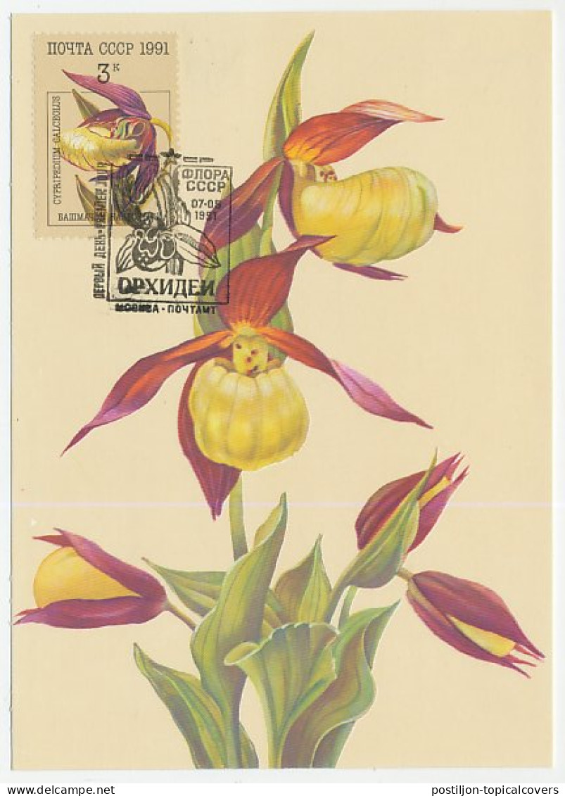 Maximum Card Soviet Union 1991 Orchid - Autres & Non Classés