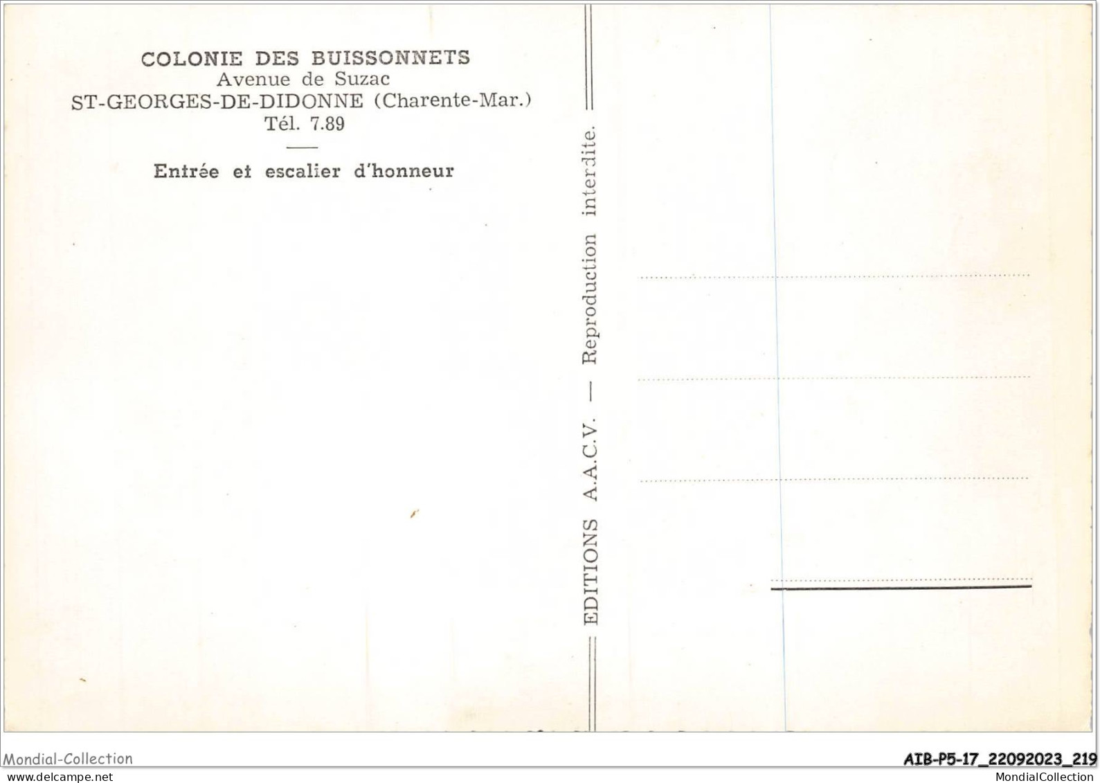 AIBP5-17-0606 - SAINT-GEORGES-DE-DIDONNE - Entreée Et Escalier D'honneur  - Saint-Georges-de-Didonne