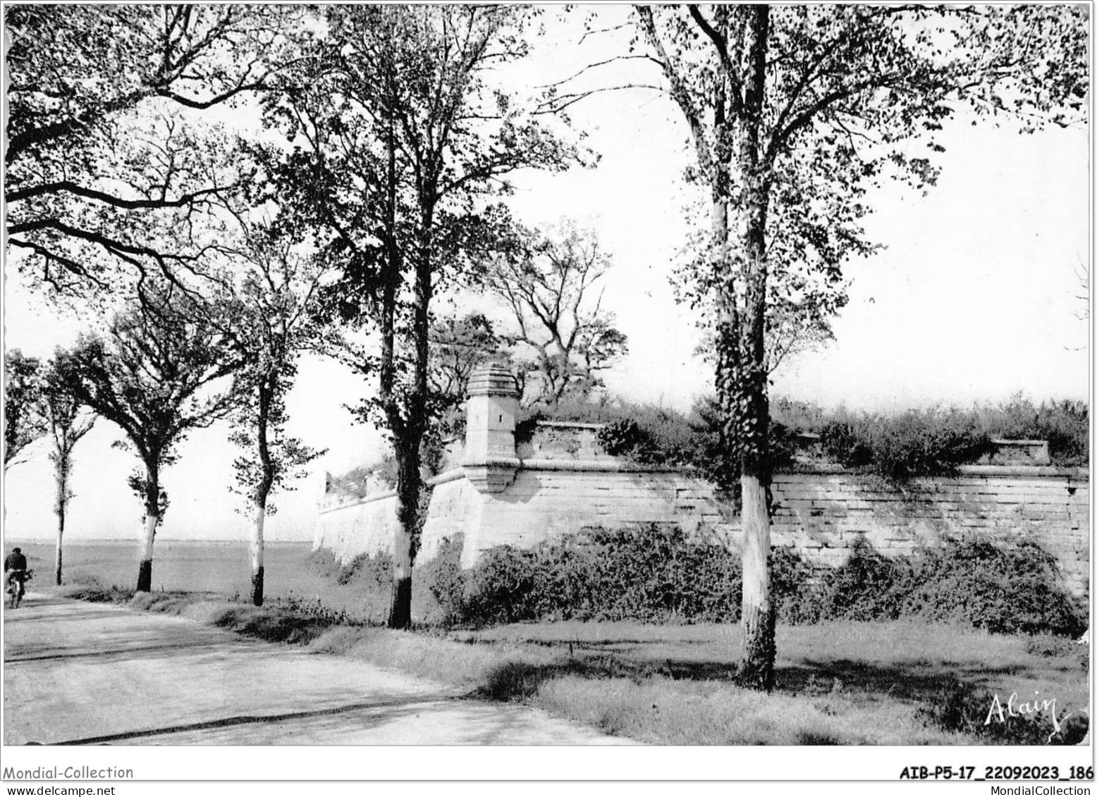 AIBP5-17-0590 - BROUAGE - Fortification De Brouage - Route De Marennes - Rochefort