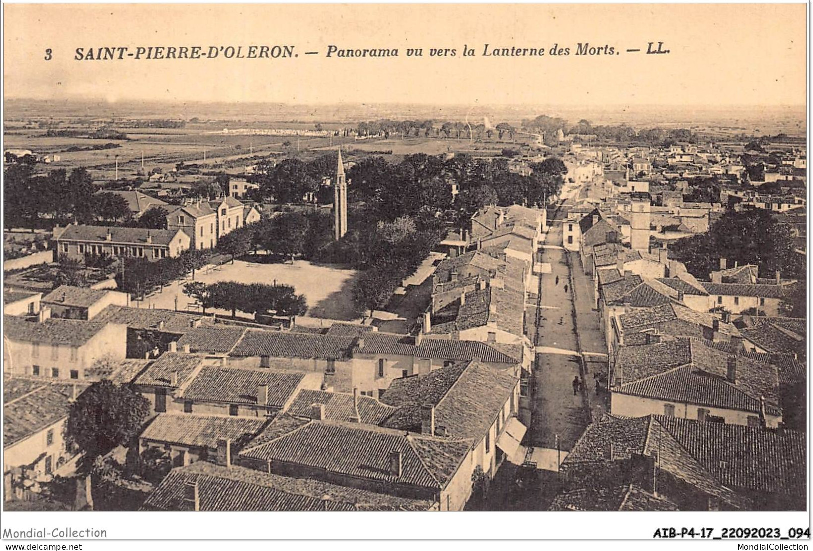 AIBP4-17-0416 - SAINT-PIERRE-D'OLERON - Panorama Vu Vers La Lanterne De Morts  - Saint-Pierre-d'Oleron