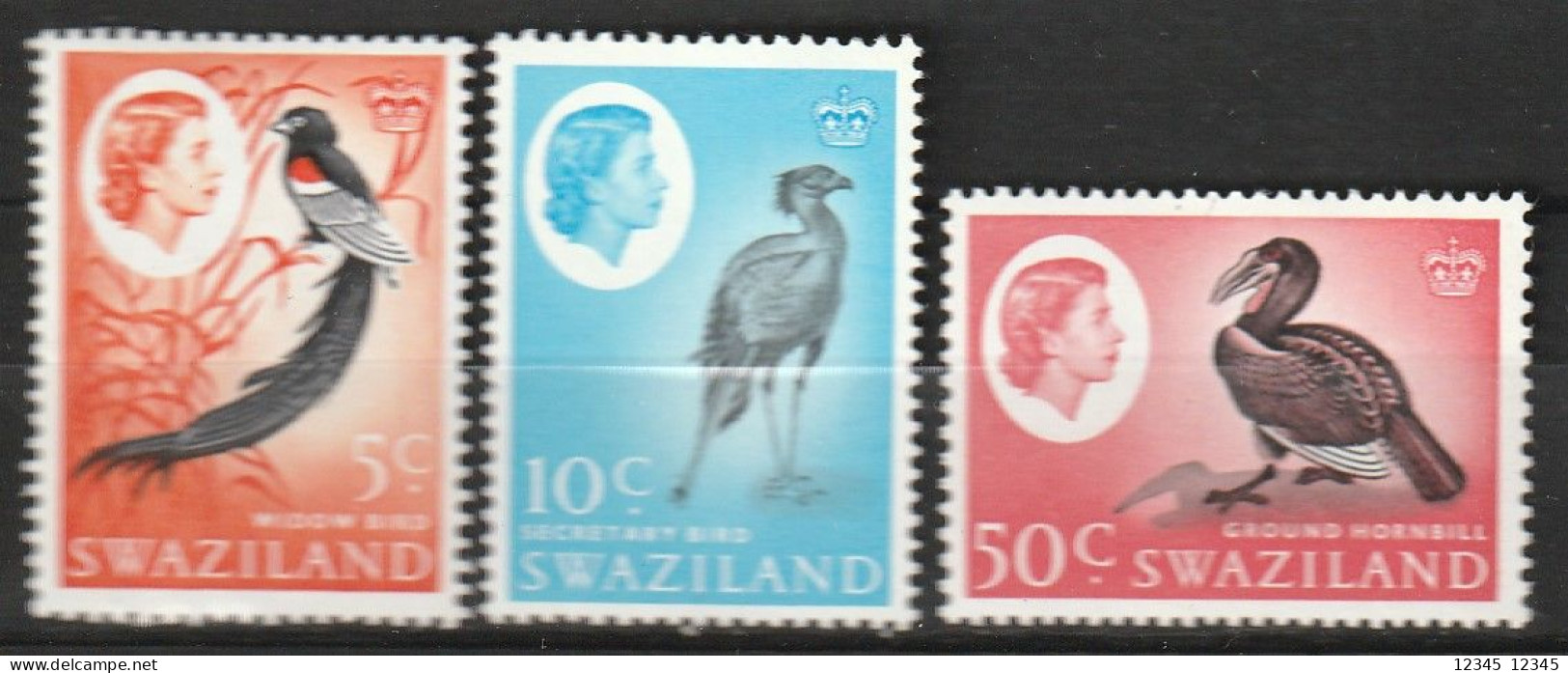 Swaziland 1962, Postfris MNH, Birds - Swaziland (1968-...)