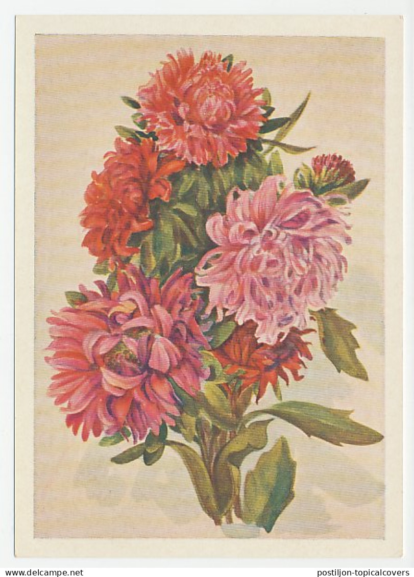 Postal Stationery Soviet Union 1954 Flower - Autres & Non Classés