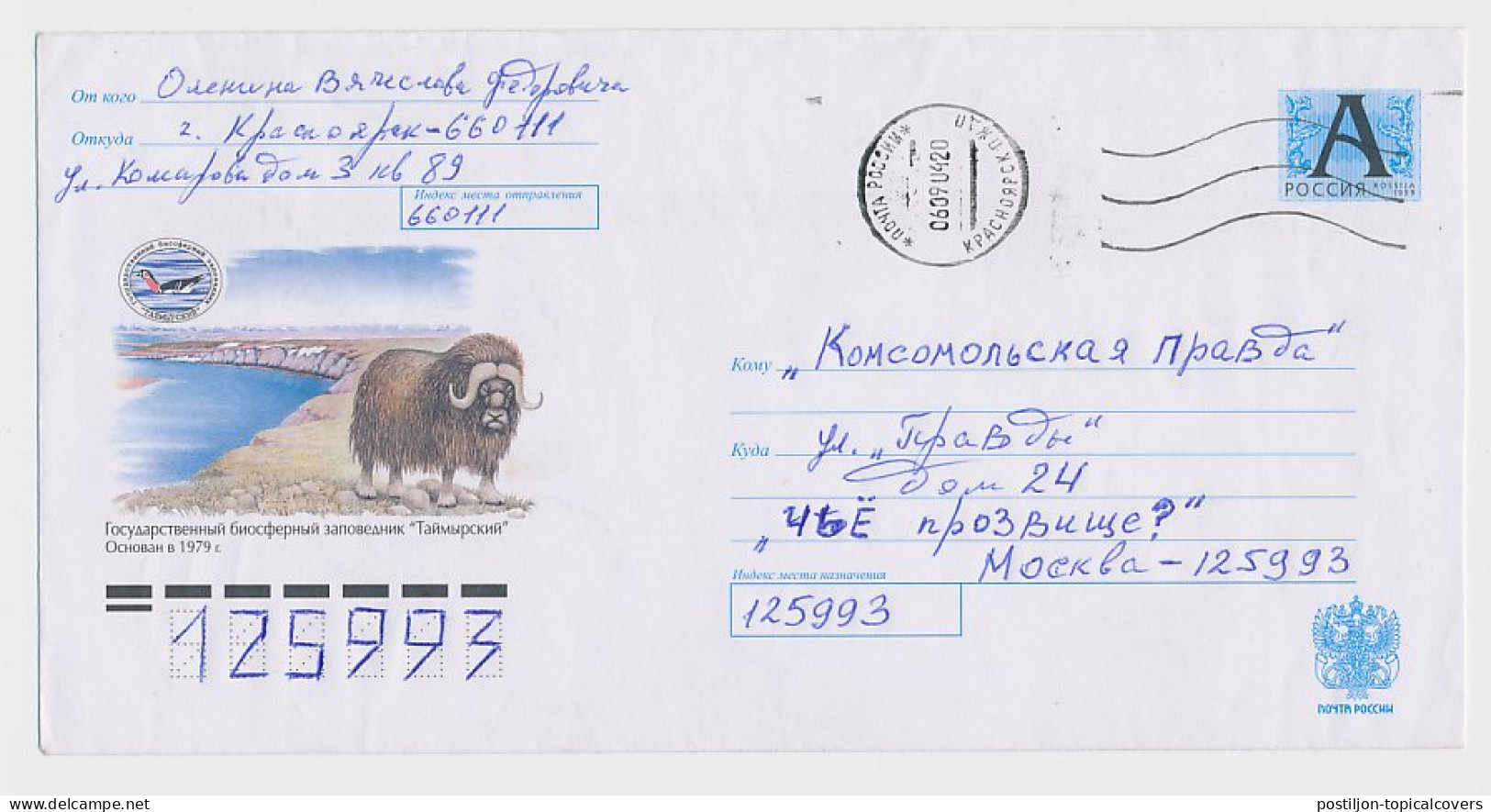 Postal Stationery Rossija 1999 Musk Ox - Other & Unclassified