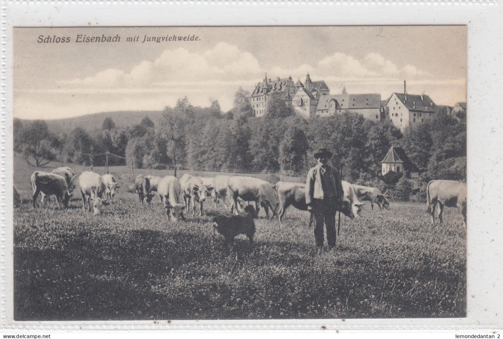 Schloss Eisenbach Mit Jungviehweie. * - Hochschwarzwald