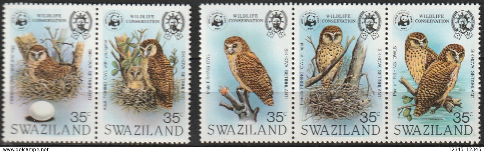 Swaziland 1982, Postfris MNH, Birds, Owls, WWF - Swaziland (1968-...)