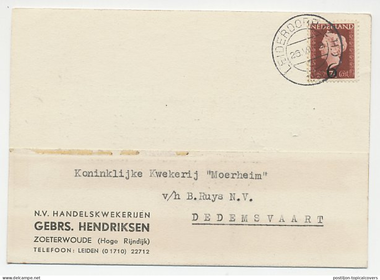 Firma Briefkaart Zoeterwoude 1950 - Kwekerij - Non Classés