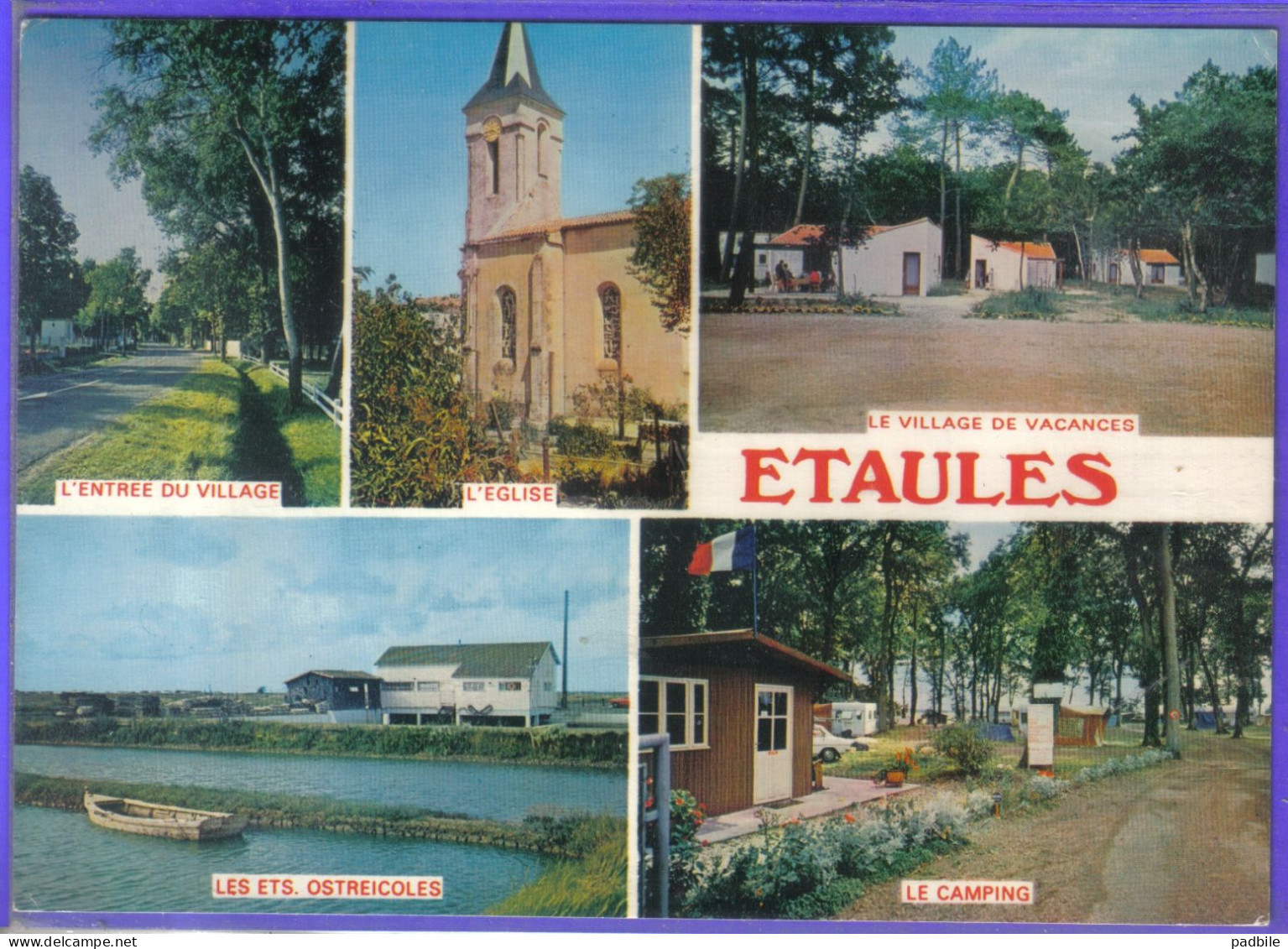 Carte Postale 17. Etaules   Très Beau Plan - Autres & Non Classés