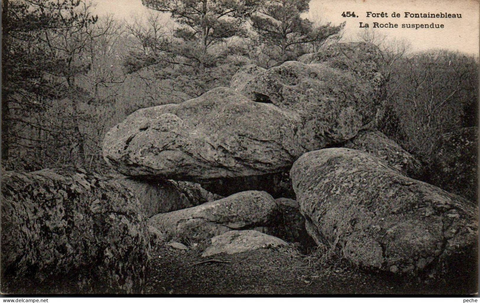 N°2951 W -cpa Forêt Fontainebleau -la Roche Suspendue- - Fontainebleau