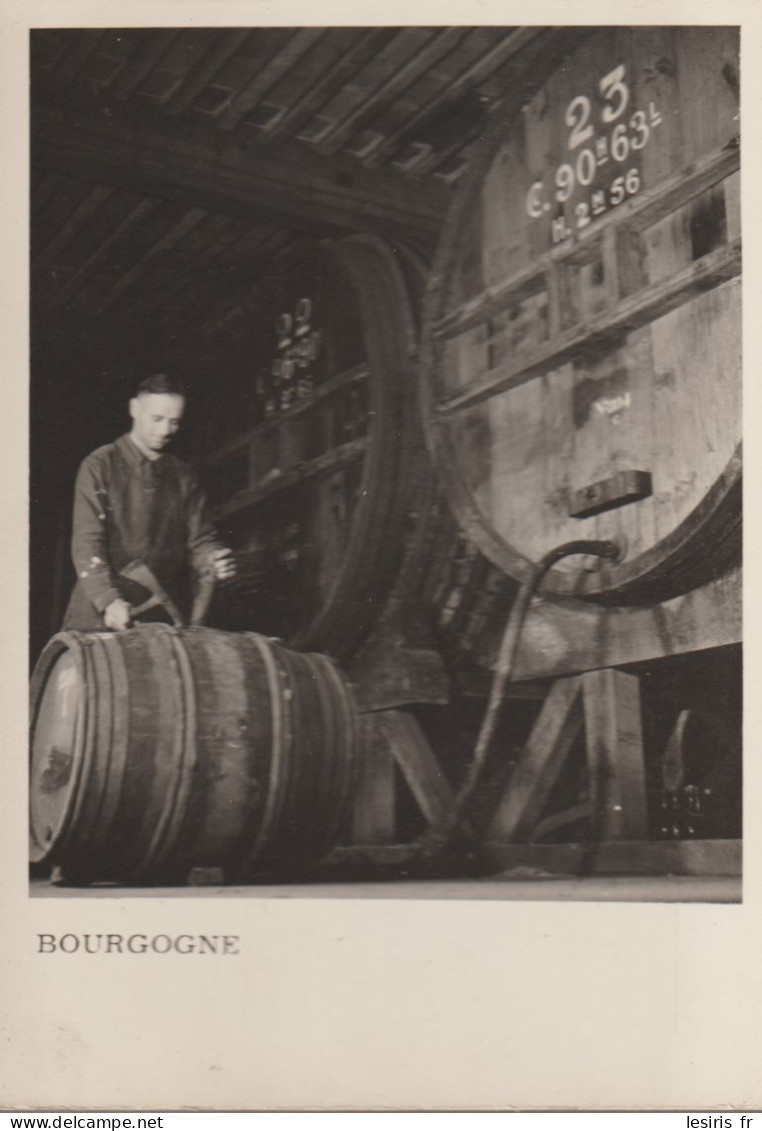 C.P. -  PHOTO - BOURGOGNE - DANS UN CELLIER BOURGUIGNON - S.E.P.- 23 - 90 H 63 L - H. 2 M 56 - Vines