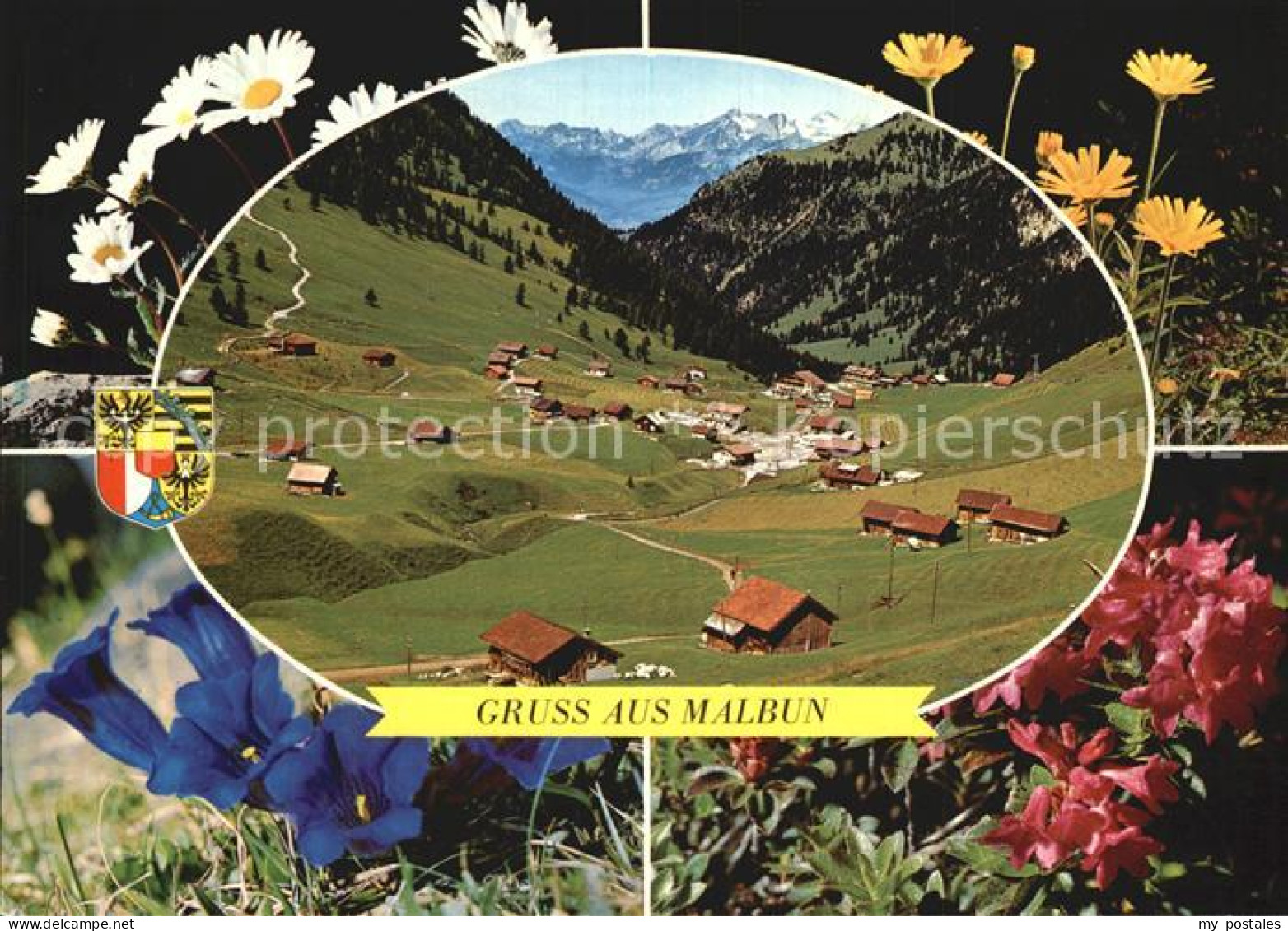 72579500 Malbun Panorama Alpenflora Triesenberg Liechtenstein - Liechtenstein