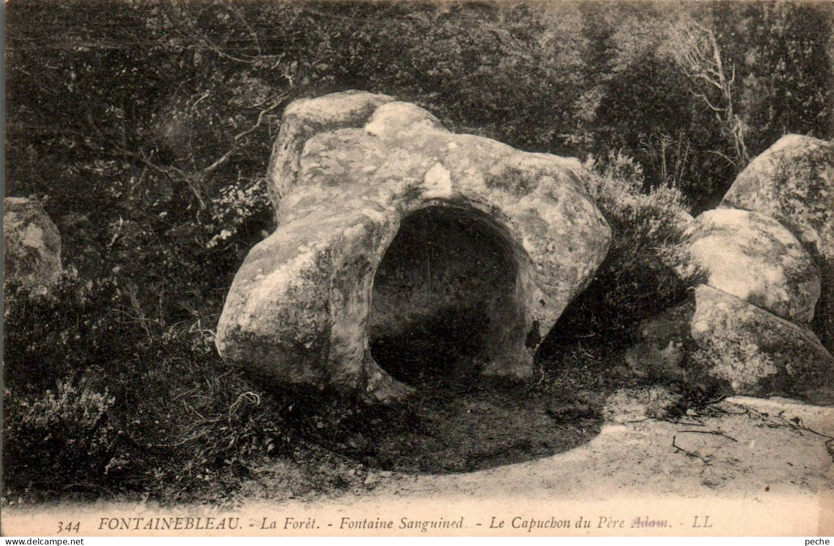 N°2955 W -cpa Forêt Fontainebleau -fontaine Sanguined- - Fontainebleau