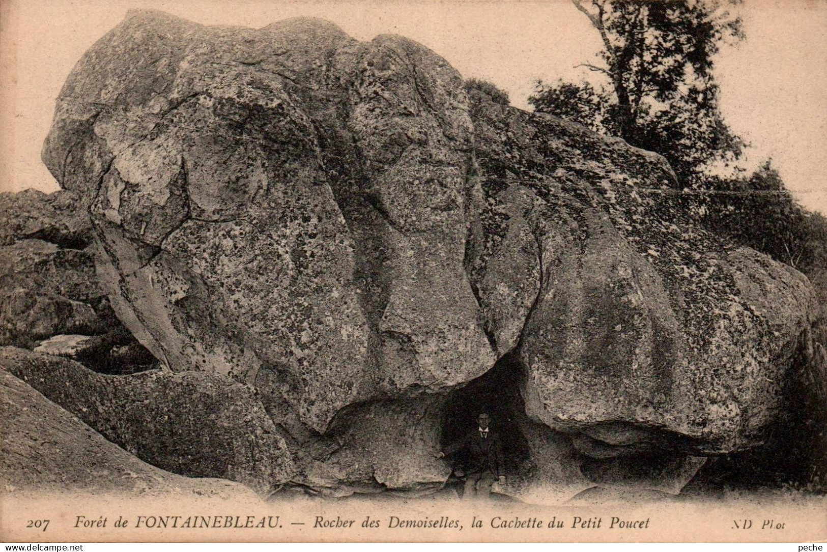 N°2956 W -cpa Forêt Fontainebleau -rocher Des Demoiselles- - Fontainebleau
