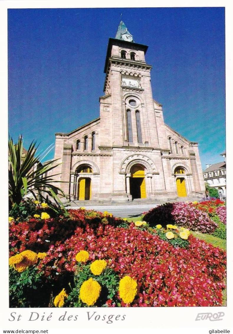 88 - Vosges -  SAINT DIE - Eglise Saint Martin - Saint Die