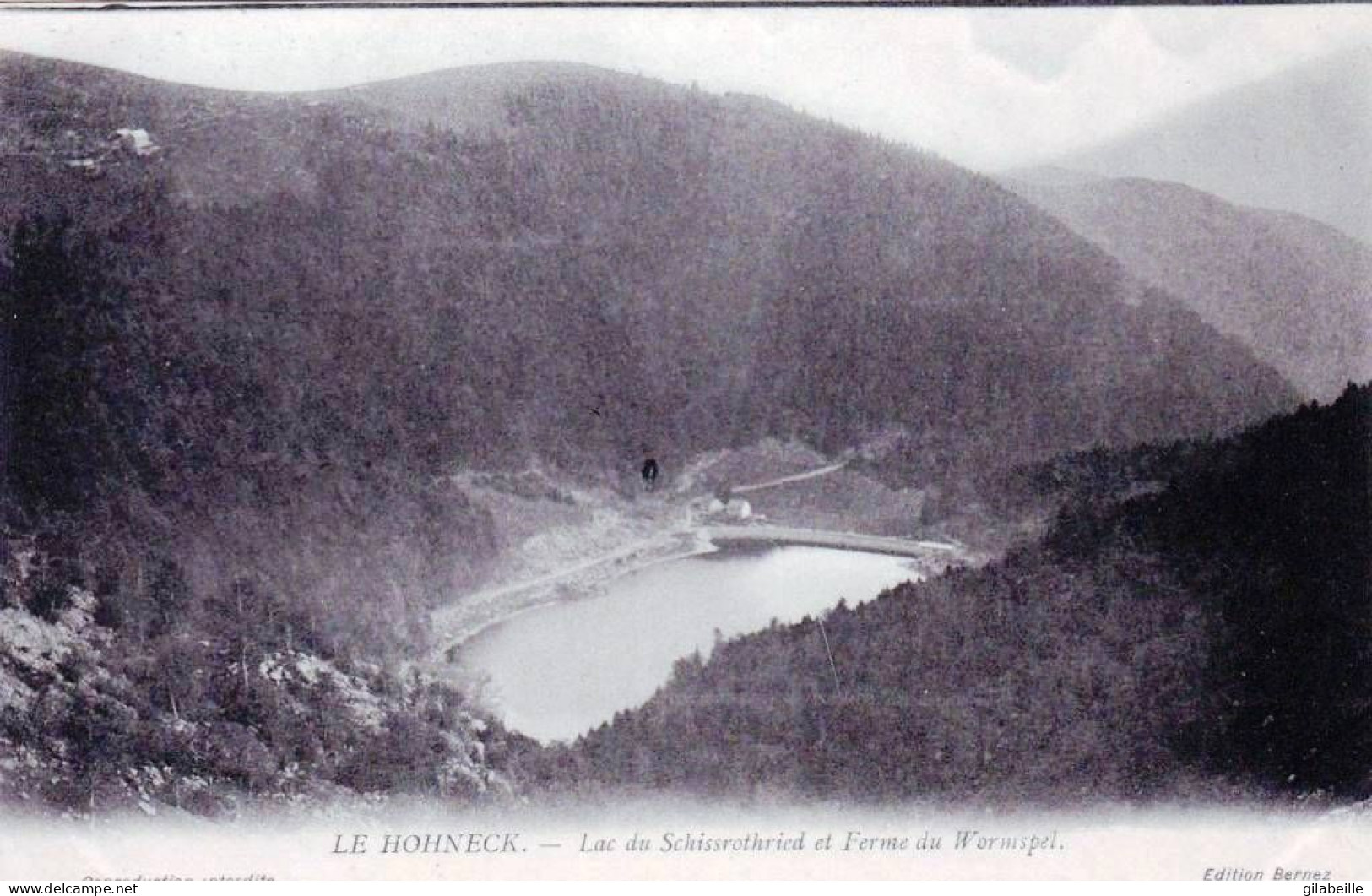 88 - Vosges -  LE HOHNECK - Le Lac De Schissrothried Et Ferme Du Wormspel - Autres & Non Classés