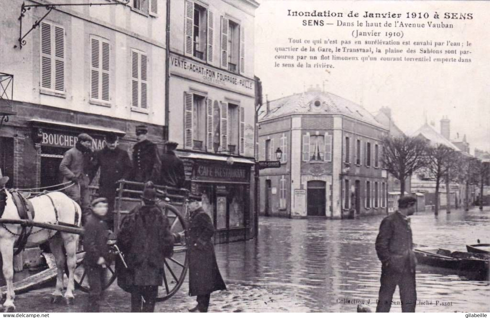 89 - Yonne -   SENS  -  Inondation De Janvier 1910 - Dans Le Haut De L Avenue Vauban - Sens