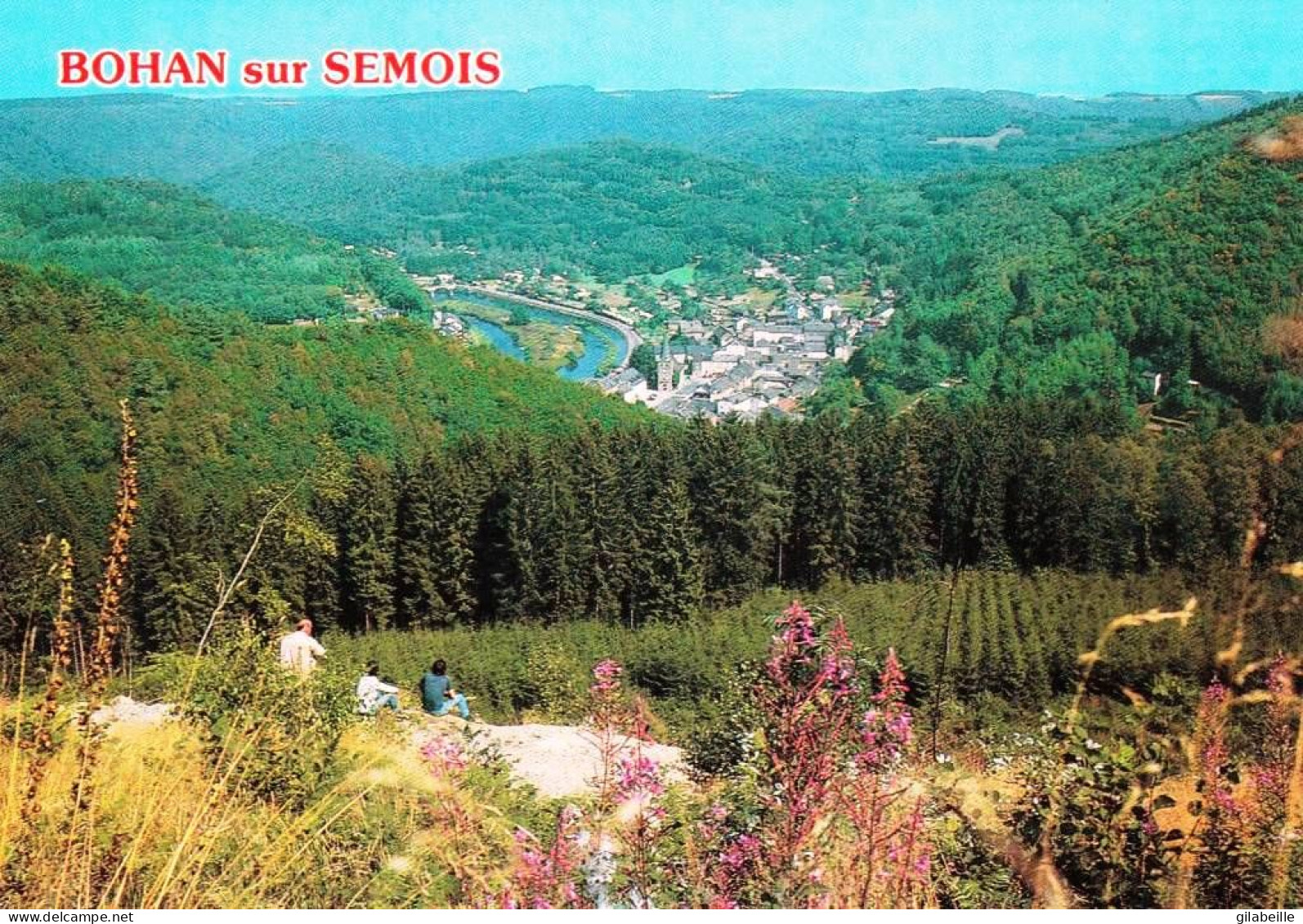 BOHAN Sur SEMOIS ( Vresse-sur-Semois  ) Vue D Ensemble - Autres & Non Classés