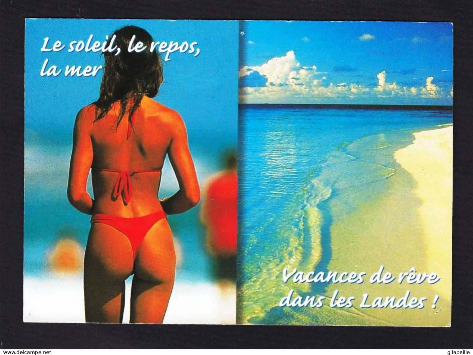 40 - Landes -  Vacances De Reve Dans Les Landes !! - Autres & Non Classés