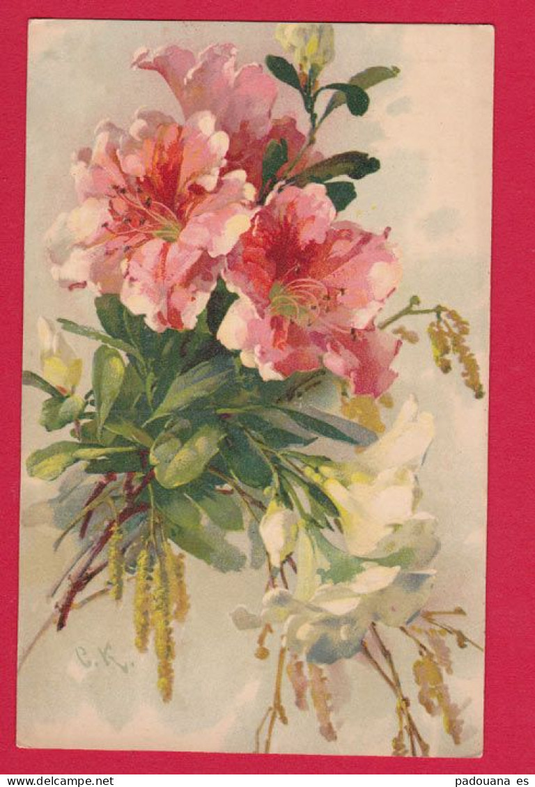 AE506 FANTAISIES FLEURS AZALEES ET CHATONS SIGNEE C.K CATHARINA KLEIN DESSIN AQUARELLE - Klein, Catharina