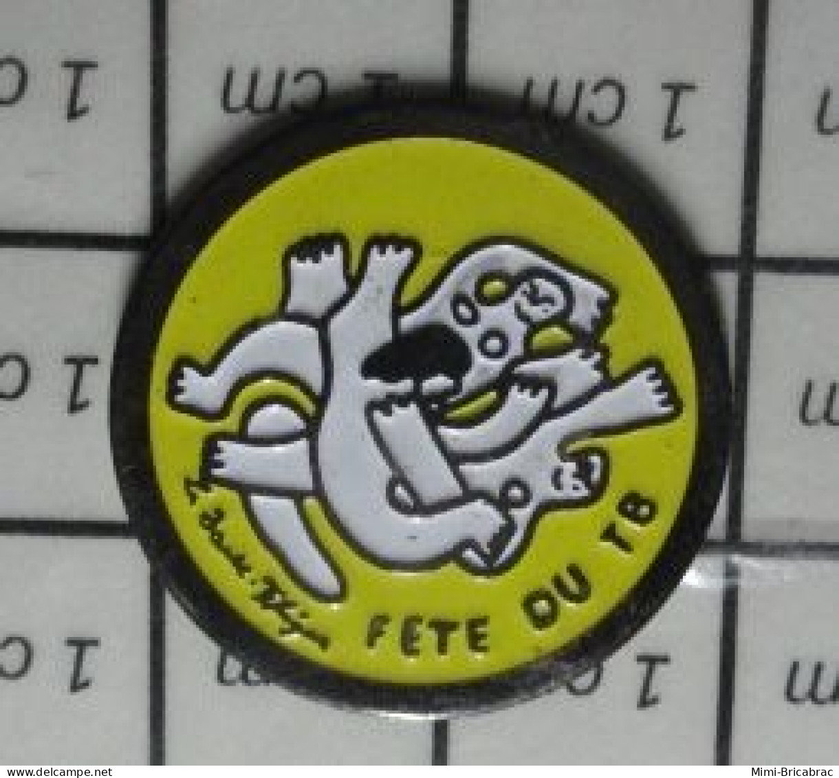 811B  Pin's Pins / Beau Et Rare / AUTRES / FETE DU T8 Ou Du TB ??? PARTOUZE - Other & Unclassified