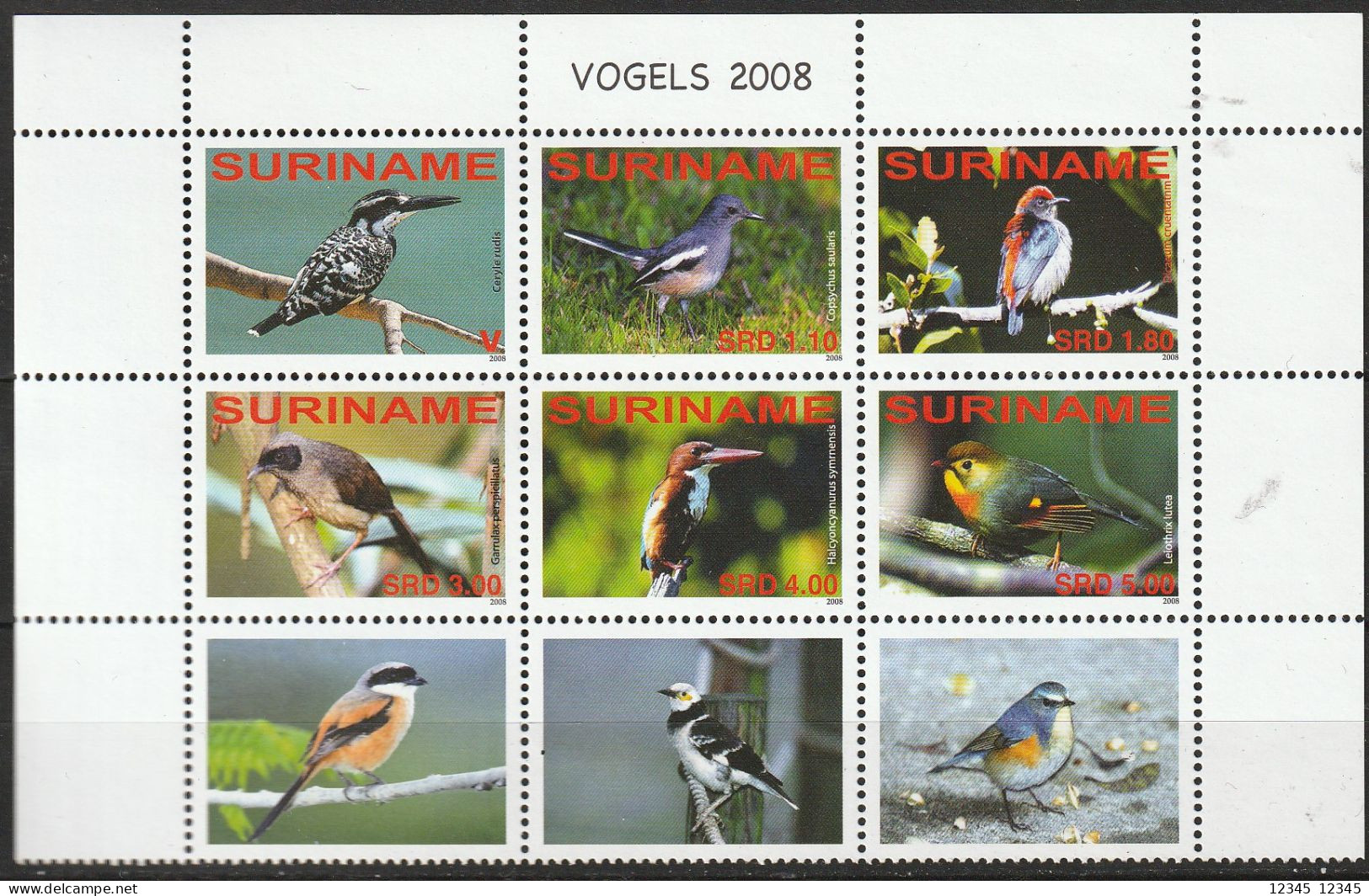 Suriname 2008, Postfris MNH, Birds - Surinam