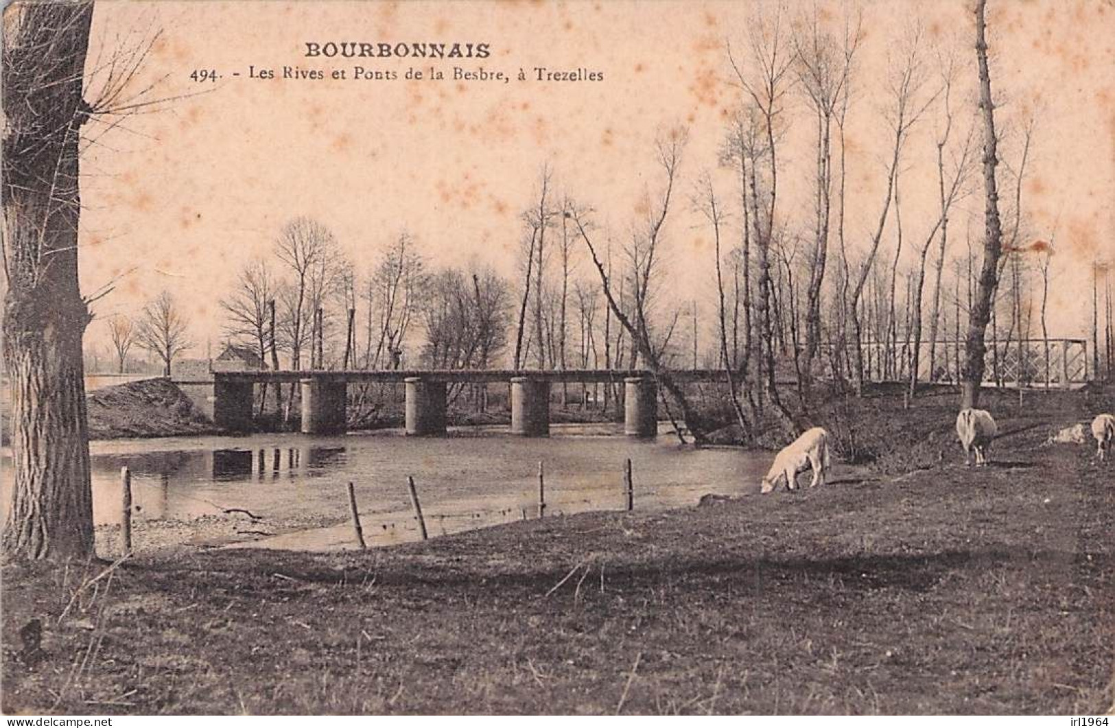 TREZELLES BOURBONNAIS LES RIVES ET PONTS DE LA BESBRE - Sonstige & Ohne Zuordnung