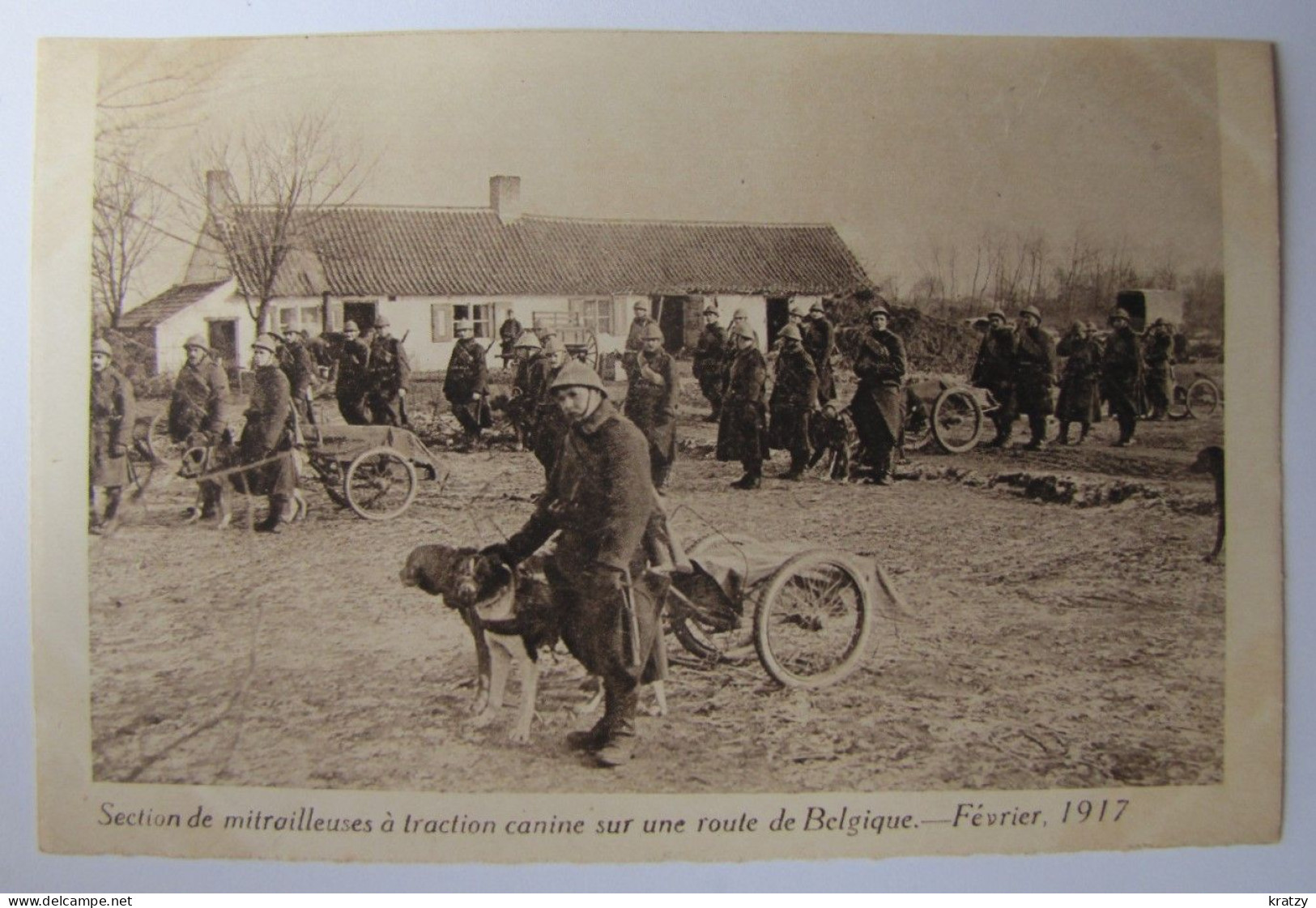 BELGIQUE - Section De Mitrailleuses à Traction Canine Sur Une Route En En Belgique - Février 1917 - Sonstige & Ohne Zuordnung