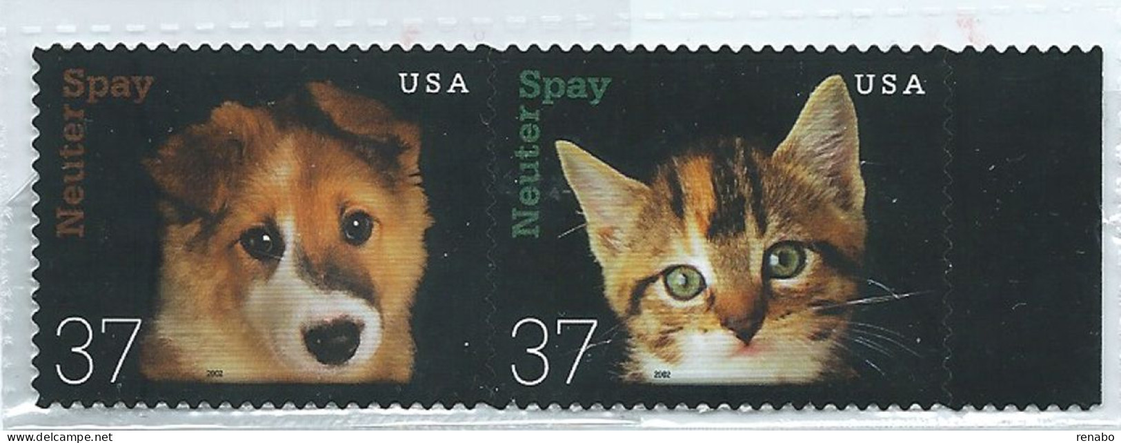 Stati Uniti, USA, United States, Etats-Unis 2002 : Cane, Dog E Gatto , Cats, Uniti. New. - Chiens