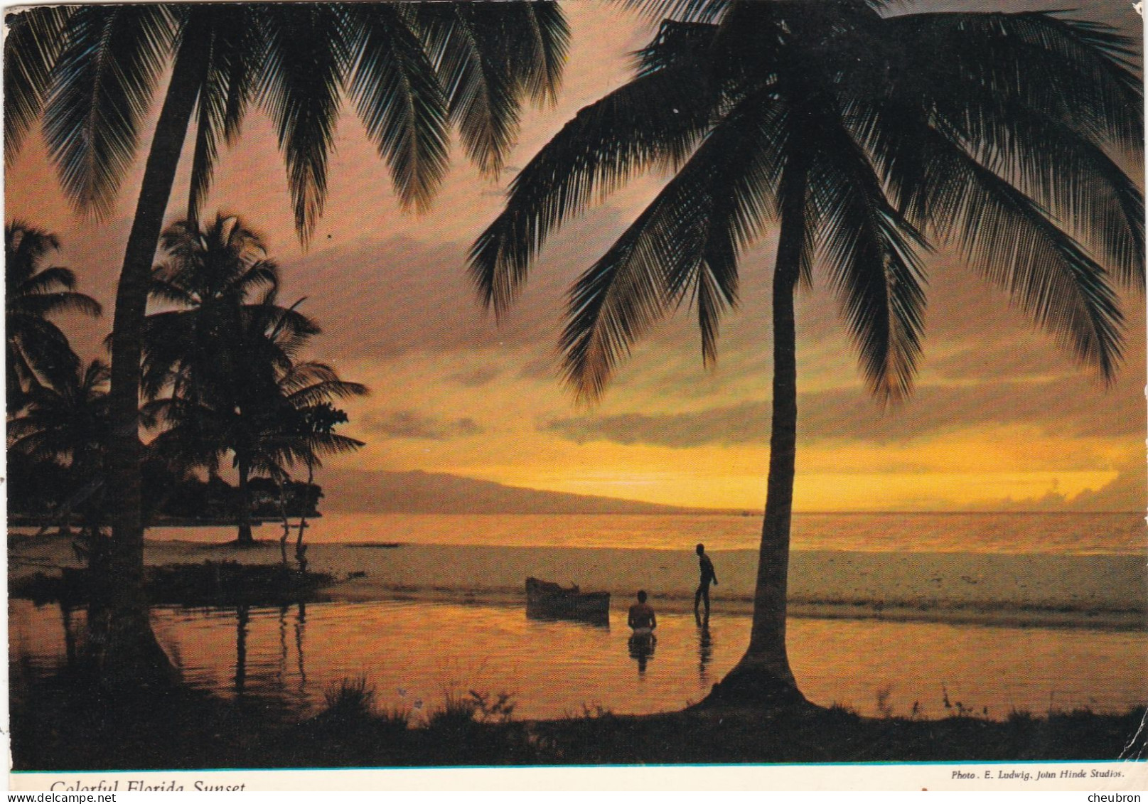 ETATS UNIS. FL..FLORIDA. " A BEAUTIFUL TROPICAL  SUNSET ". ANNEE 1970 + TEXTE + TIMBRES - Sonstige & Ohne Zuordnung