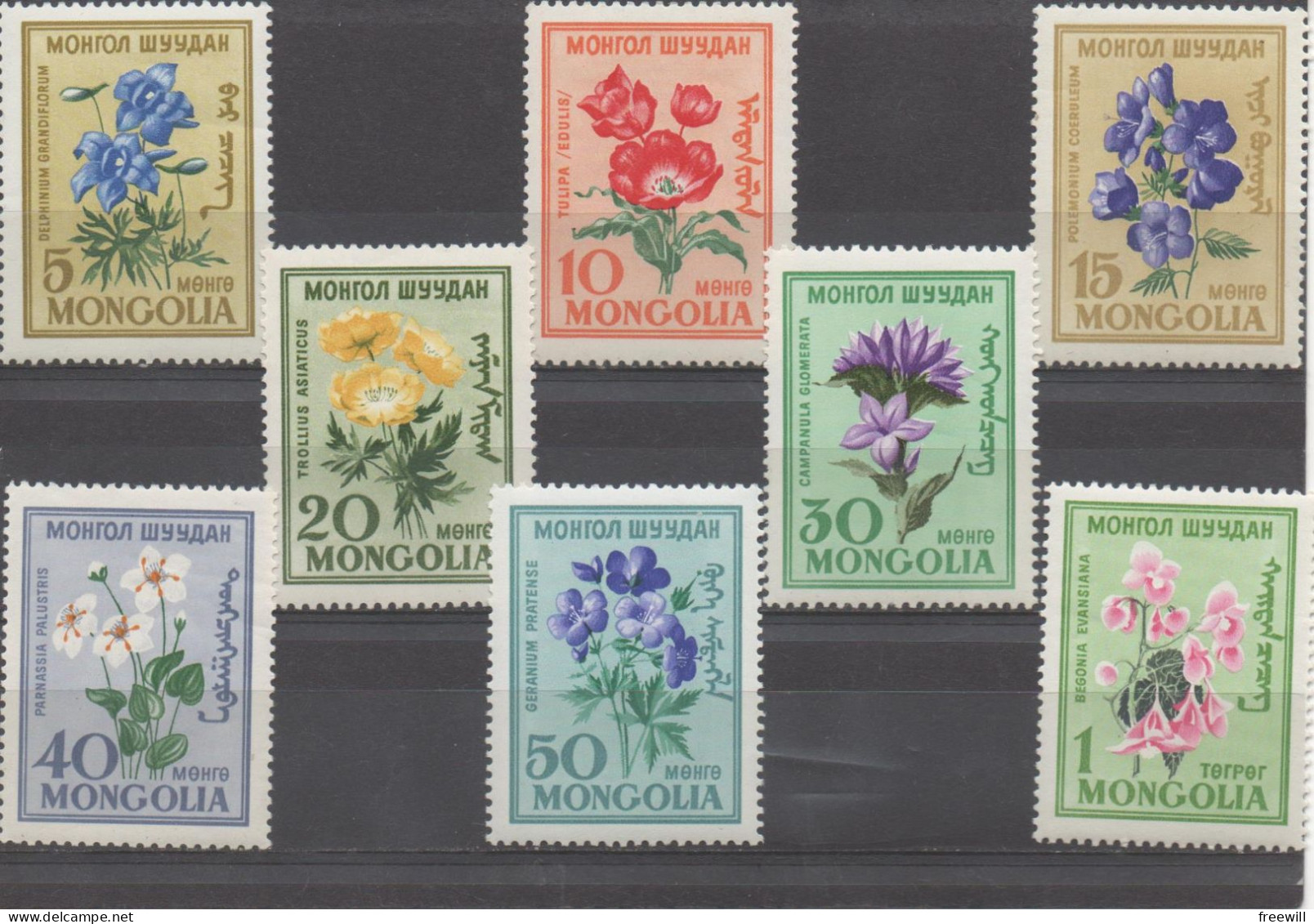 Mongolie Fleurs-Flowers-Bloemen XXX 1960 - Mongolei