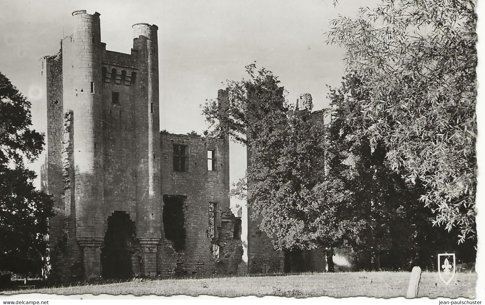 58 -   La Charité Sur Loire - Ruines Du Château De Passy-les-Tours     ** CPSM    Flamme De  La Charité Sur Loire  ** - La Charité Sur Loire