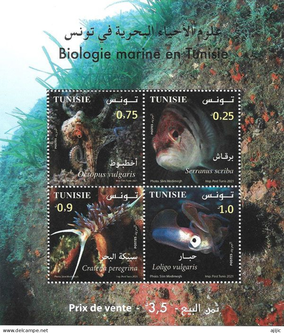Biologie Marine En Tunisie Bloc-Feuillet Neuf **  (2021) - Tunesië (1956-...)