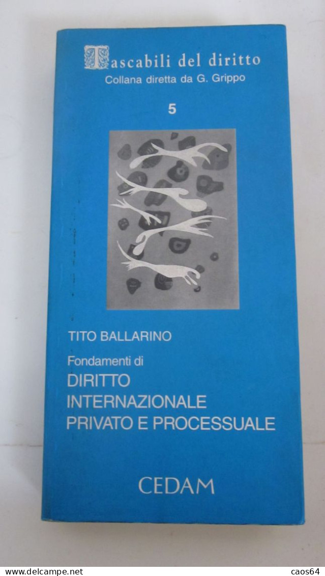 Diritto Internazionale Privato E Processuale T. Ballarino  CEDAM Tascabili 1999 - Droit Et économie