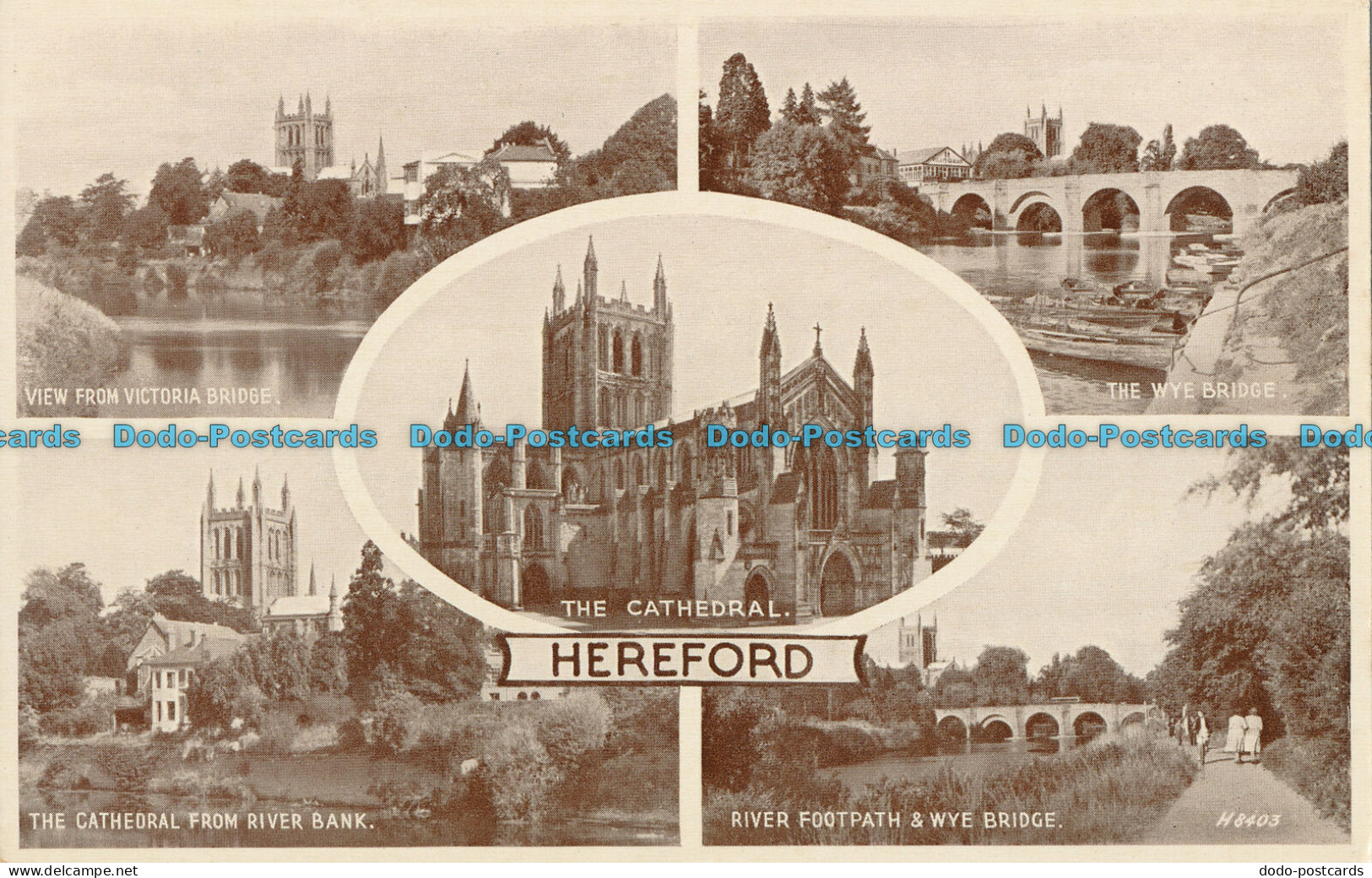 R003760 Hereford. Multi View. Valentine. Phototype - Monde