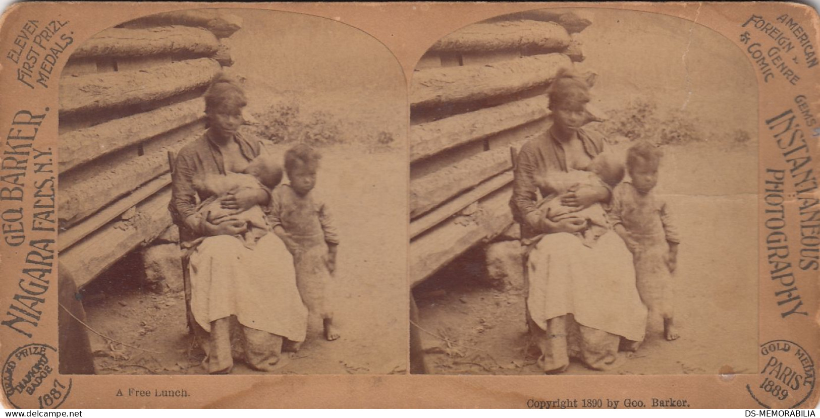1890 Woman Breast Feeding A Baby Stereoview Photo George Barker Niagara Falls NY - Stereoscopes - Side-by-side Viewers