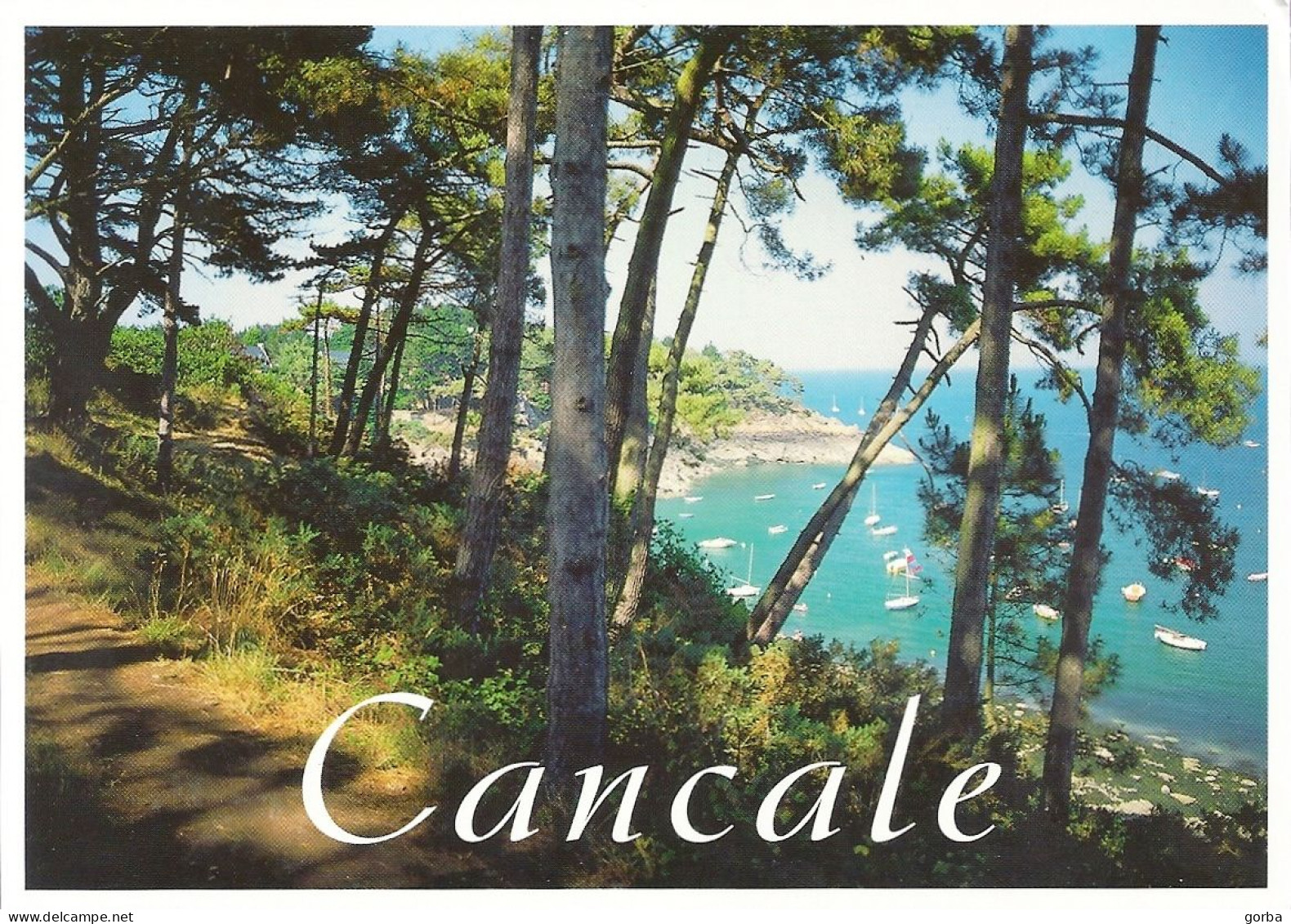 *CPM - 35 - CANCALE - Les Sentiers Douanier à Port-Pican - Cancale