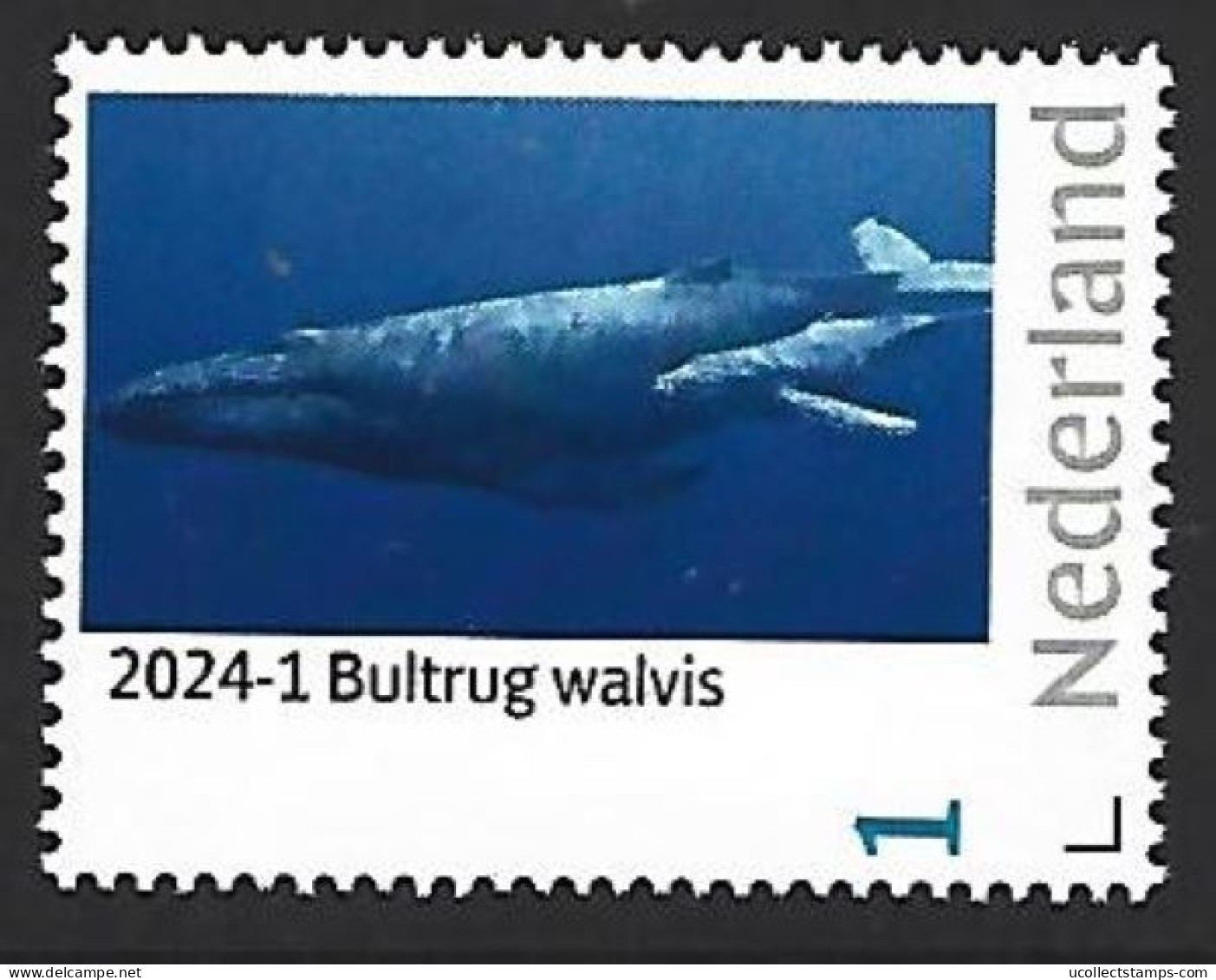 Nederland 2024-1 Natuur Nature  Walvis Humpback Whale      Postfris/mnh/sans Charniere - Unused Stamps