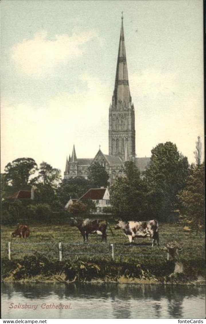 11193642 Salisbury Wiltshire Cathedral Salisbury - Other & Unclassified