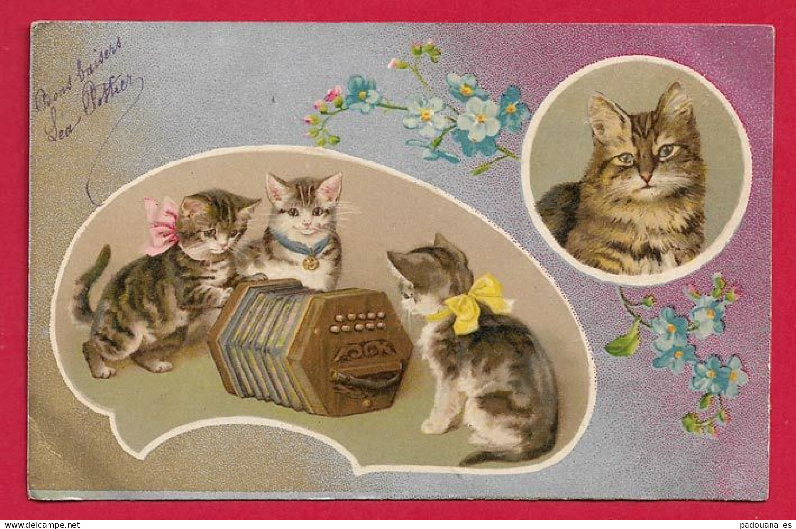 AB867 FANTAISIES ANIMAUX CHAT CHATS ACCORDEON DIATONIQUE  MUSIQUE - Chats