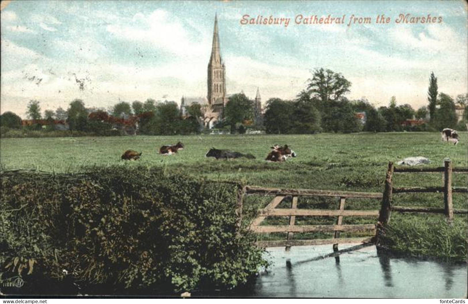 11193633 Salisbury Wiltshire Cathedral Salisbury - Other & Unclassified